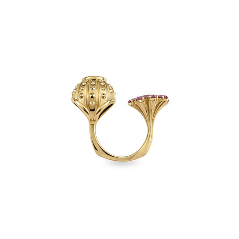 Crowley Open Ring